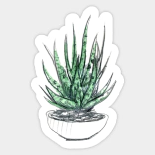 WC&S - Haworthia Sticker